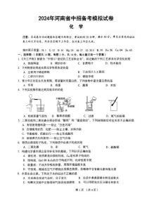 2024年郑州市外国语九年级一模化学试卷及参考答案