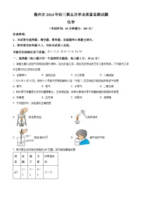 2024年海南省儋州市中考模拟化学试题（原卷版+解析版）