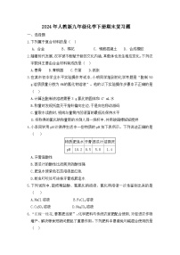 期末复习题---2023-2024学年九年级化学人教版下册