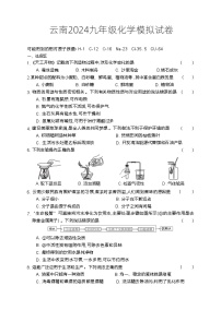 2024年云南省中考模拟化学试卷