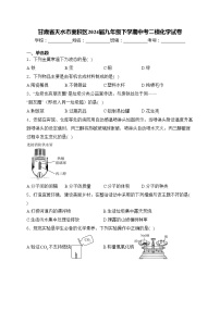 甘肃省天水市麦积区2024届九年级下学期中考二模化学试卷(含答案)