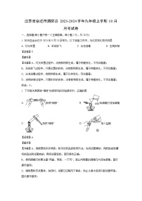 化学：江苏省宿迁市泗阳县2023-2024学年九年级上学期10月月考试卷（解析版）