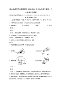 化学：湖北省武汉市东湖高新区2023-2024学年九年级下学期5月中考适应性试题（解析版）