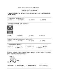 广东省东莞市2024年中考化学模拟试卷