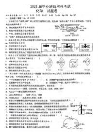 2024年安徽省六安市汇文中学中考适应性考试化学试题卷