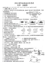 2024年安徽省六安市汇文中学中考适应性考试化学试题卷