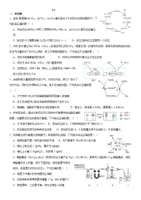 2024年沪教版（全国）化学第4章压轴题（含答案）