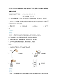 2023-2024学年湖北省武汉市洪山区九年级上学期化学期中试题及答案