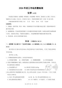 2024年深圳市高级系33校初三第三次联考化学试卷
