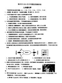 2024年江苏省徐州市沛县第五中学中考模拟预测化学试题