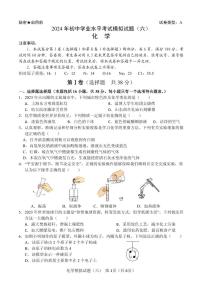 2024年山东省临沂市初中学业水平考试模拟化学试卷（六）