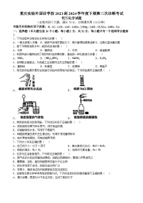 2024年重庆市实验外国语学校中考三模化学试题(无答案)