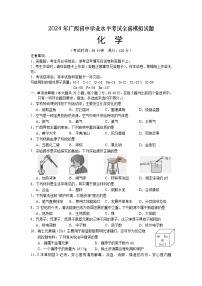 2024年广西初中学业水平考试全真模拟化学试题（含答案）