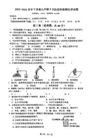 2024年广西大学附属中学中考模拟测试化学试题