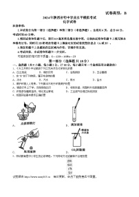 2024年陕西省渭南市白水县多校联考中考三模考试化学试题(无答案)(1)