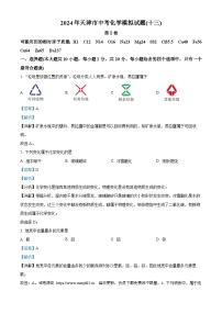 2024年天津市河东区第四十五中学中考模拟化学试题（十三）