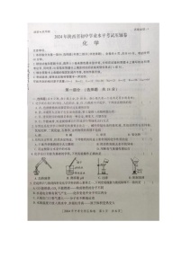 2024年陕西省商洛市商南县中考模拟预测化学试题