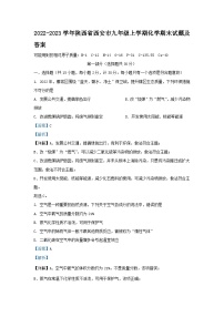 2022-2023学年陕西省西安市九年级上学期化学期末试题及答案