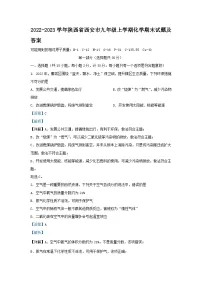 2022-2023学年陕西省西安市九年级上学期化学期末试题及答案