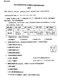 2024年广东省深圳市35校中考联考三模化学试卷