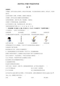 2024年湖南省长沙市长郡教育集团中考适应性考试（三模）化学试题（原卷）