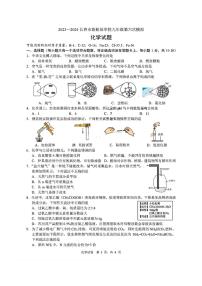 2024年吉林省长春市新解放学校九年级中考第六次模拟化学试题