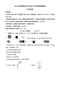2024年陕西省初中学业水平考试化学仿真摸底卷（解析版）