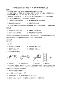 安徽省定远县育才学校2024年安徽省中考化学模拟试题