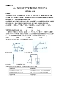 2024年四川省遂宁市中考化学试卷(无答案)