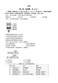 2024年四川省成都市中考化学试题（含答案）