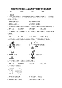 江苏省泰州市兴化市2024届九年级下学期中考三模化学试卷(含答案)