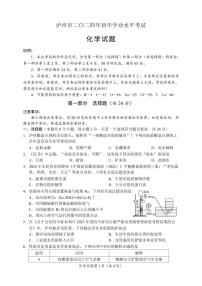 2024年四川省泸州市中考化学真题