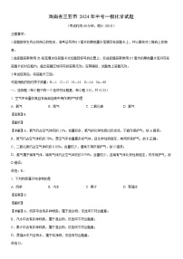 [化学]海南省三亚市2024年中考一模试题（解析版）