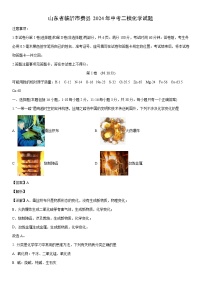 [化学]山东省临沂市费县2024年中考二模试题（解析版）