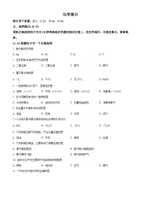 2024年上海市普陀区中考一模化学试题（解析版）