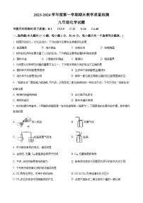 河北省石家庄市栾城区2023-2024学年九年级上学期期末化学试题（解析版）