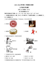 山东省聊城市临清市2023-2024学年九年级上学期期末化学试题（解析版）