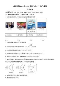 四川省成都市第四十三中学校2023-2024学年九年级上学期一诊模拟化学试题（解析版）