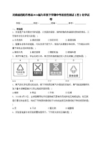 河南省信阳市息县2024届九年级下学期中考适应性测试（四）化学试卷(含答案)