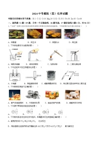 2024年黑龙江省哈尔滨市松雷中学中考四模化学试卷