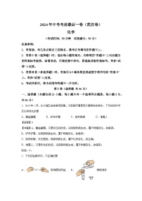 化学（武汉卷）-2024年中考考前最后一卷