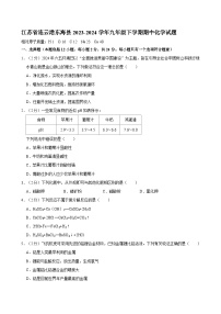 江苏省连云港市东海县2023-2024学年九年级下学期期中化学试题