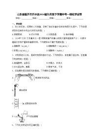 山东省临沂市沂水县2024届九年级下学期中考一模化学试卷(含答案)