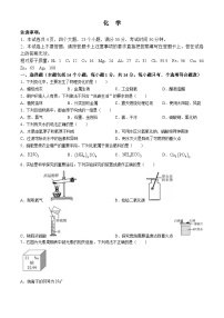 2024年河南省郑州市外国语学校九年级第四次模拟考试化学试卷(无答案)