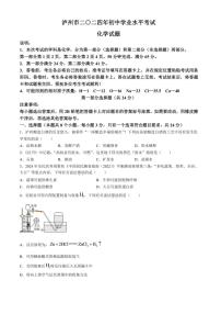 [化学]2024年四川省泸州市中考化学真题（含答案）