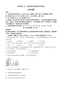 [化学]2024年四川省泸州市中考化学真题（含答案）