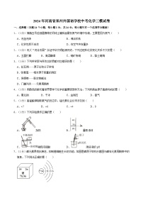 2024年河南省郑州外国语学校中考化学三模试卷