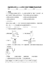 丰城市第九中学2023-2024学年八年级下学期期中考试化学试卷(含答案)