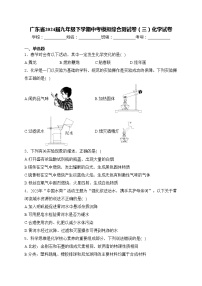 广东省2024届九年级下学期中考模拟综合测试卷（三）化学试卷(含答案)