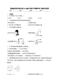 陕西省宝鸡市陈仓区2024届九年级下学期中考三模化学试卷(含答案)